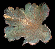 FrstPPBowl-W800_0070.jpg