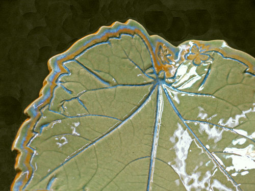 BostonIvy-1a-0206-1521.jpg